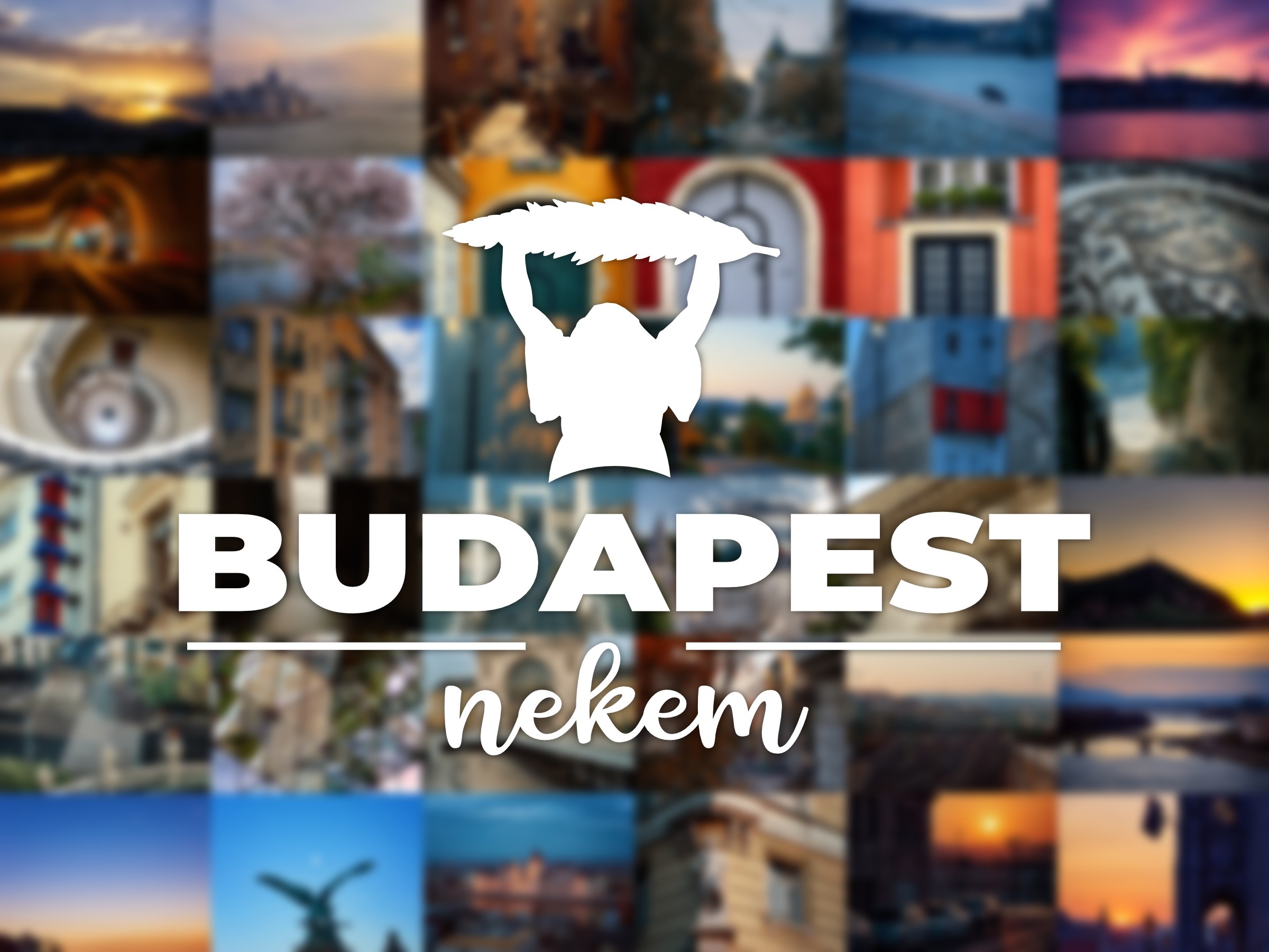 kollazs elmosva felirattal 210923