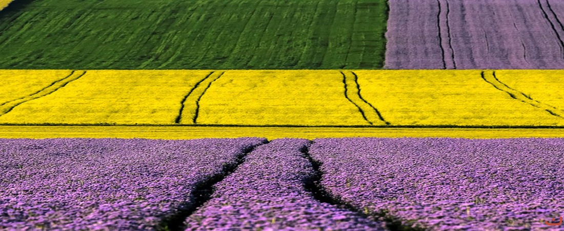 nyari szinek 20210309